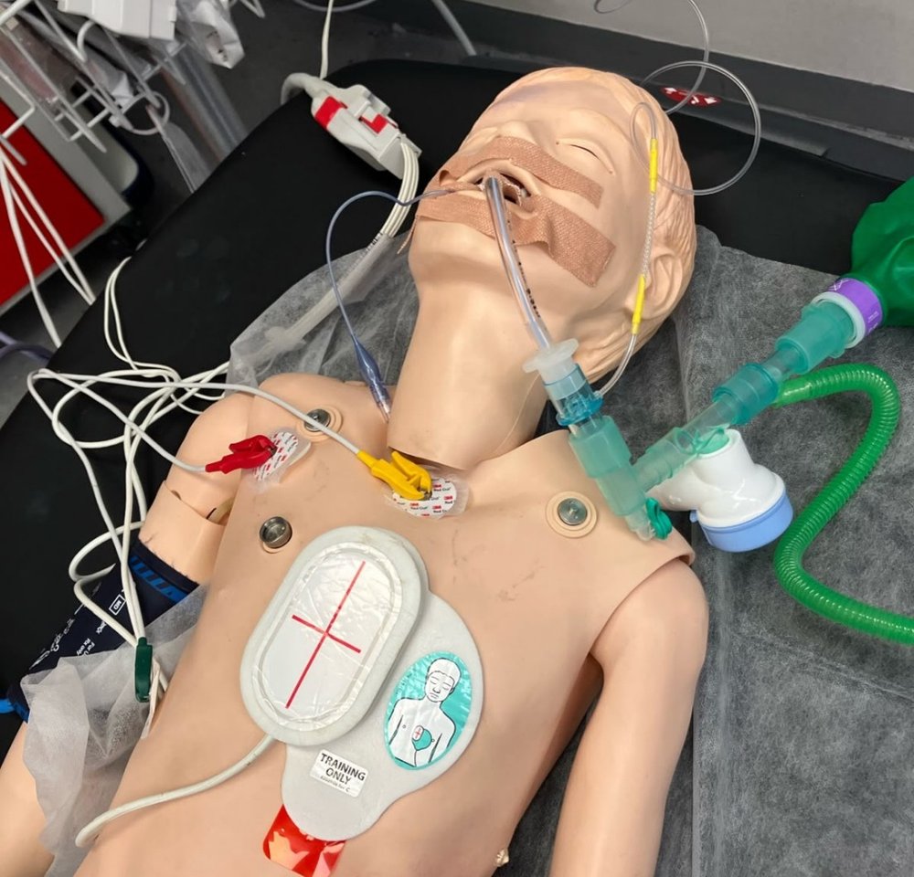 Sim doll