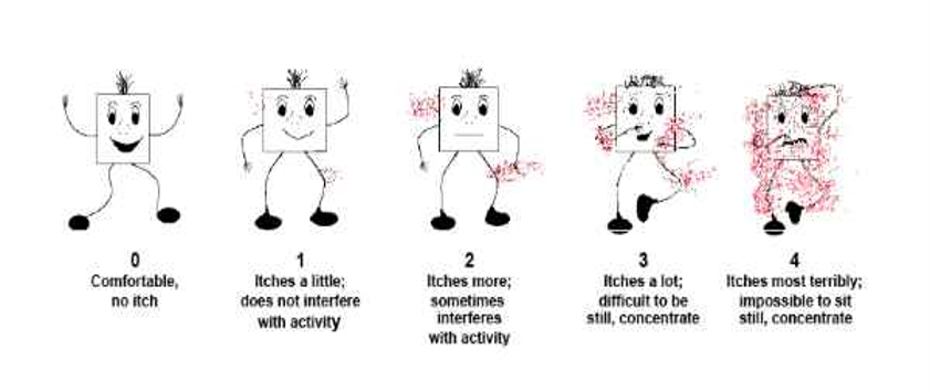 itch scale